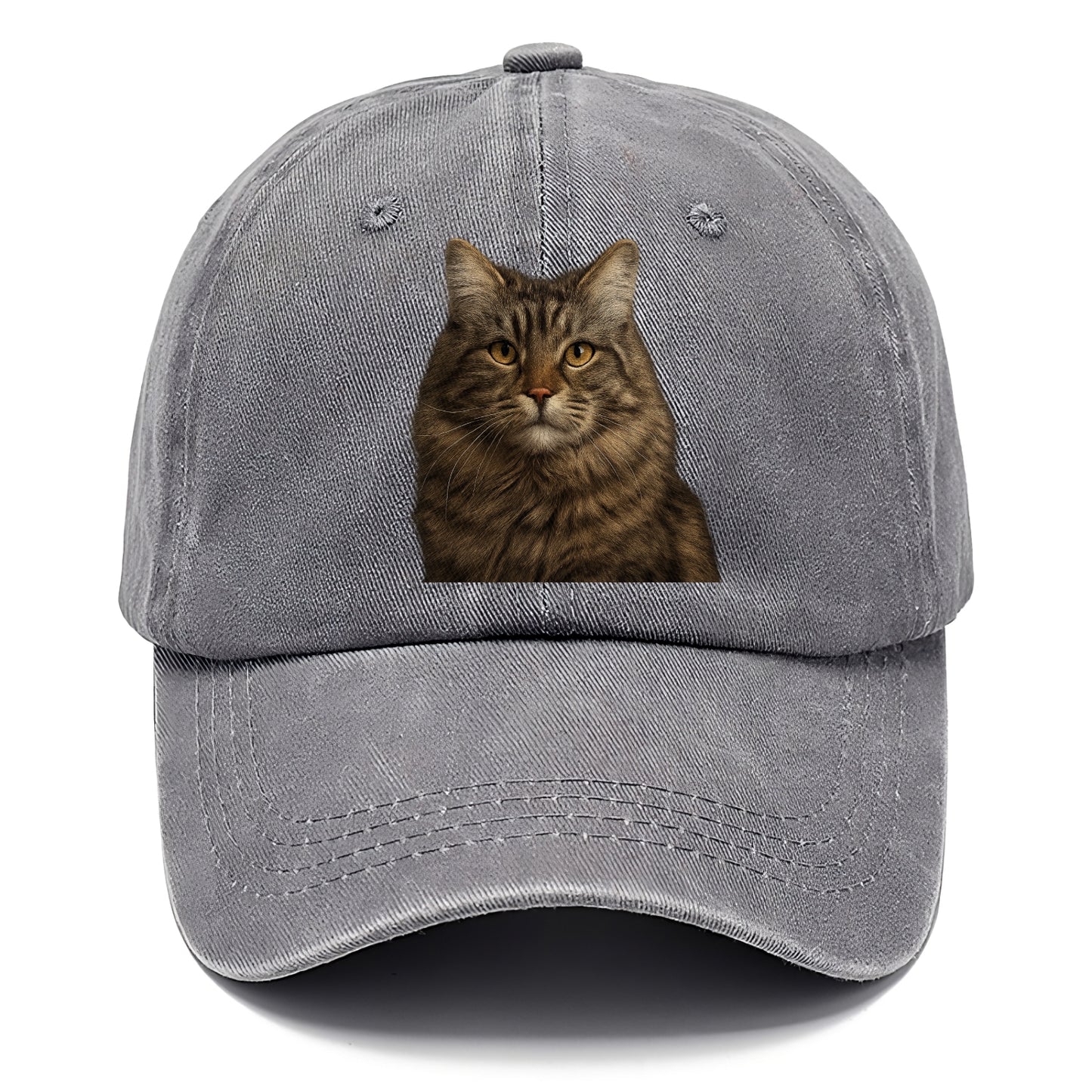 maine coon majestic feline Hat