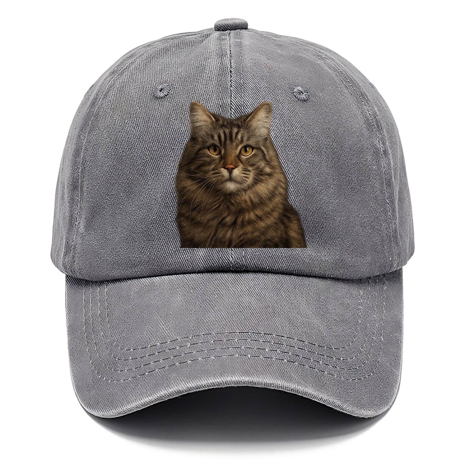 maine coon majestic feline Hat