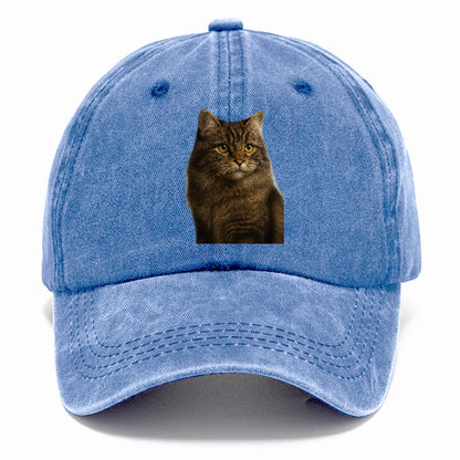 cymric-playful-spirit Hat