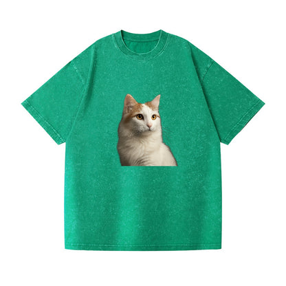 turkish-van-aquatic-elegance Hat