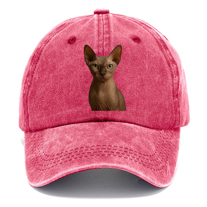 sphynx cat portrait design Hat