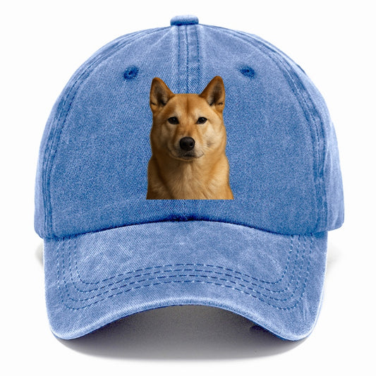 guardian Hat