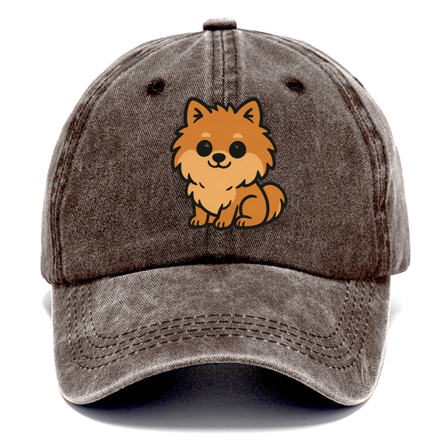 pomeranian orange fluffy sitting pose portrait design Hat