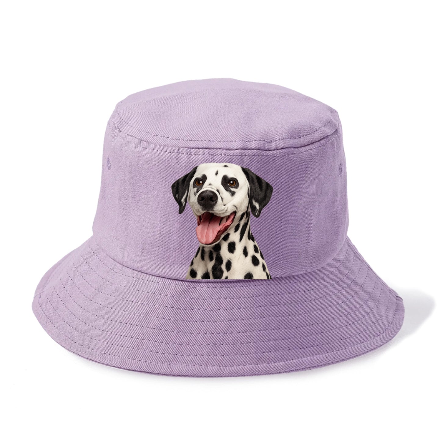 dalmatian dapper spot elegance Hat