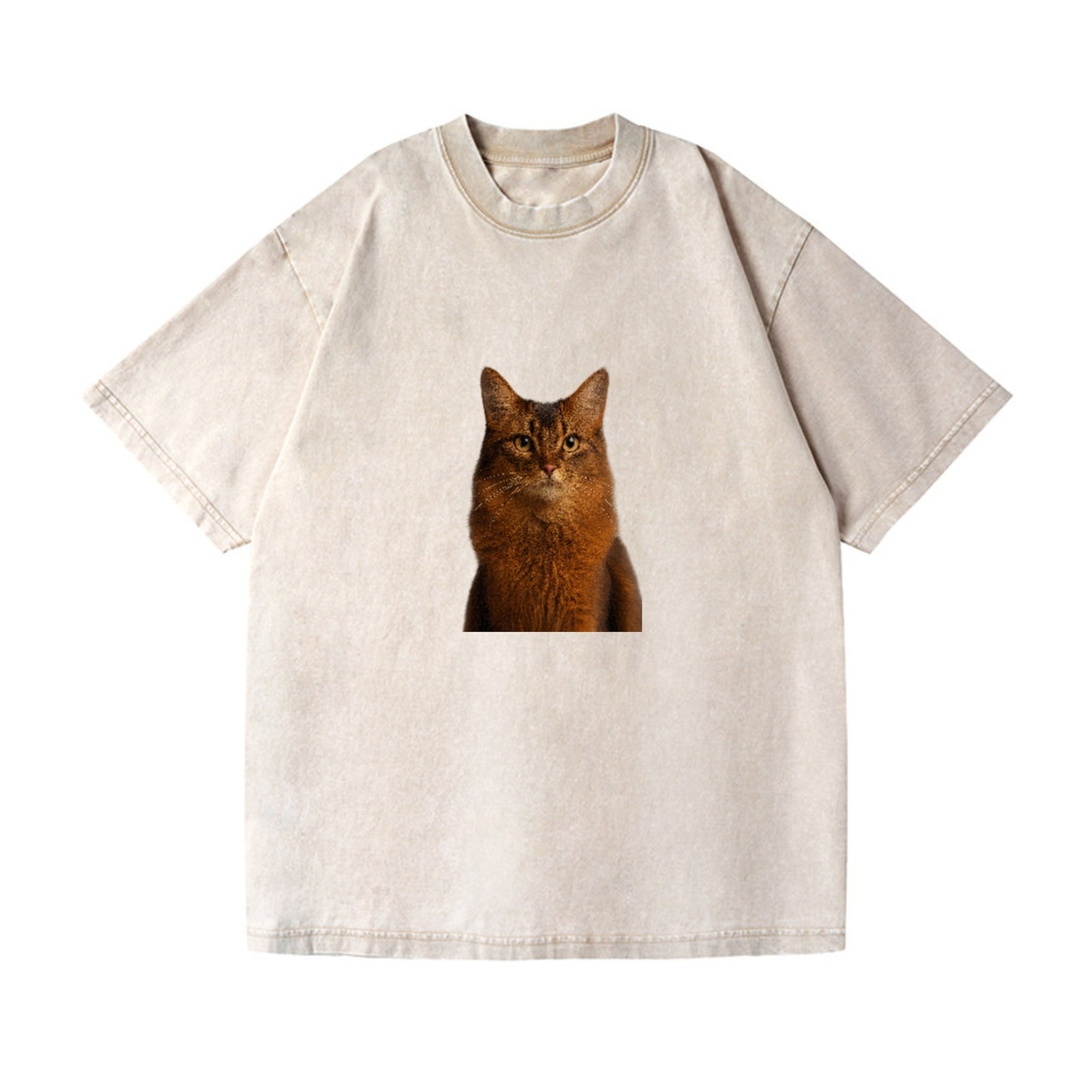 somali-cat-agile-grace Hat