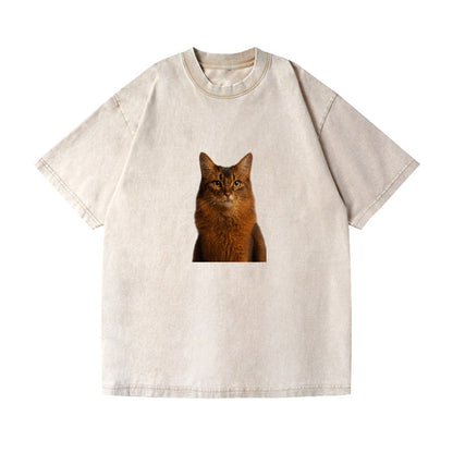 somali-cat-agile-grace Hat