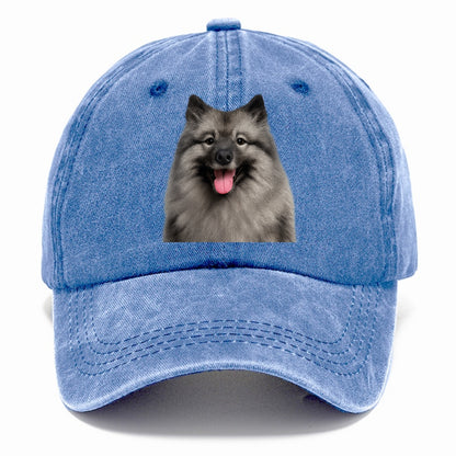keeshond: silver fox spirit Hat