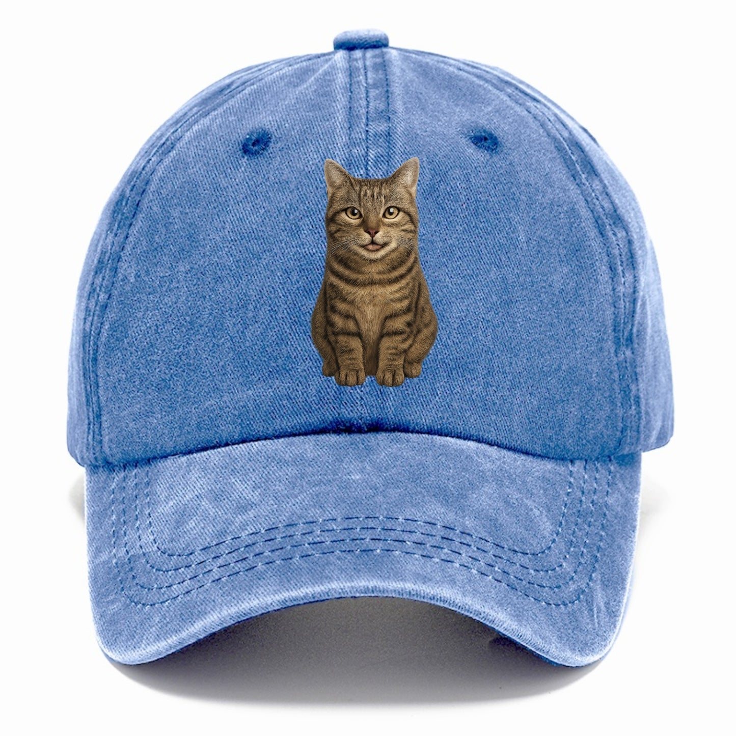 whiskered wisdom Hat