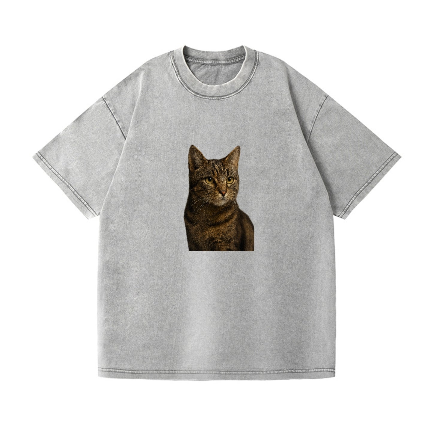 barn-cat-rustic-charm Hat