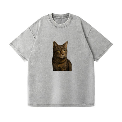 barn-cat-rustic-charm Hat