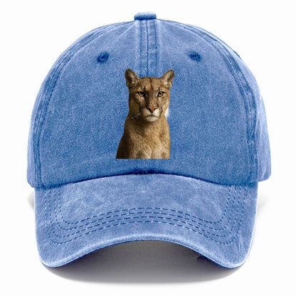 puma-stealthy-hunter Hat