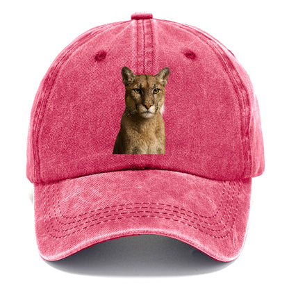 puma-stealthy-hunter Hat