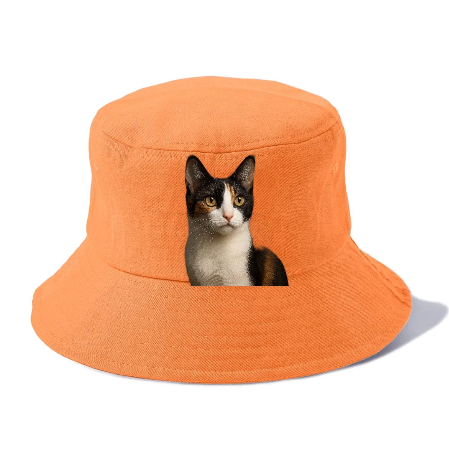 japanese-bobtail-playful-charm Hat