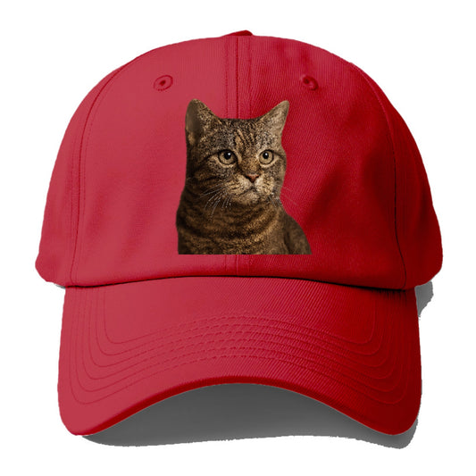 american-wirehair-textured-charm Hat