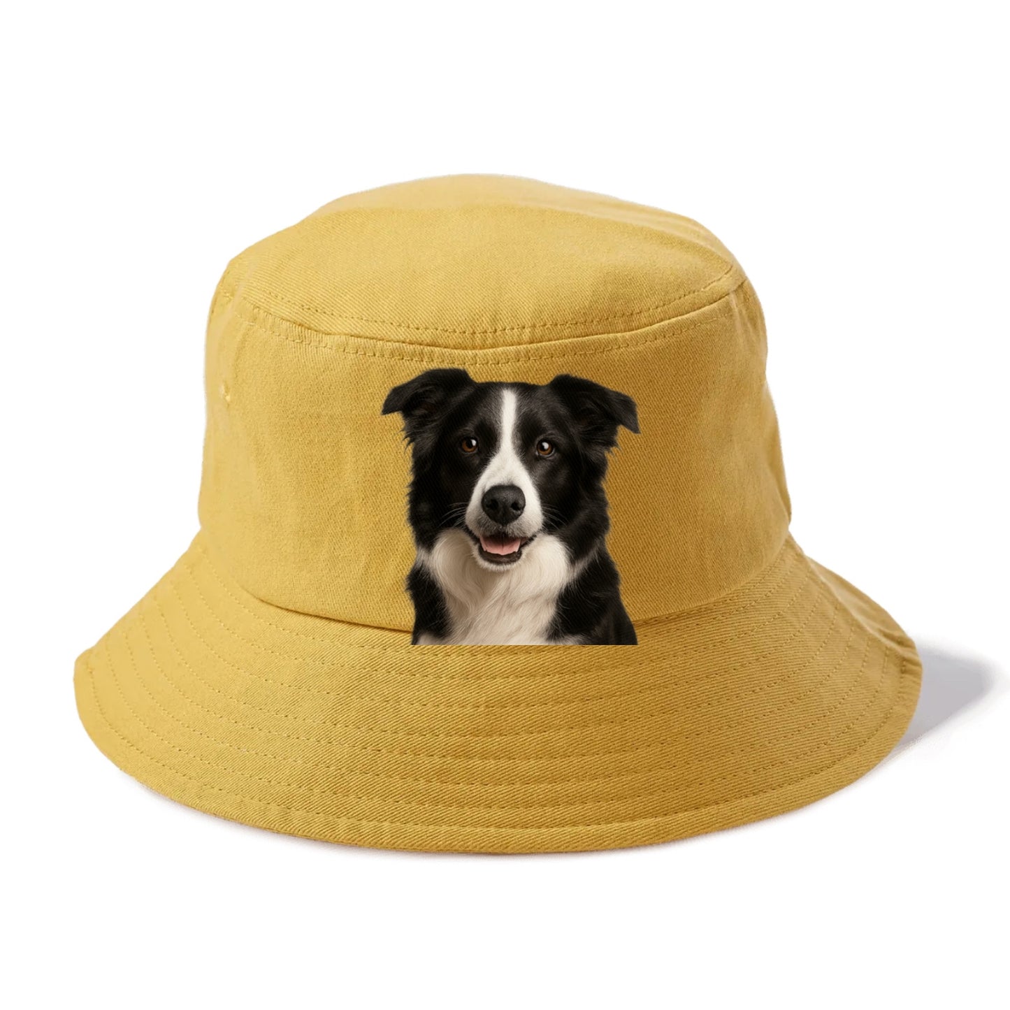 border collie: agile mind, loyal heart Hat