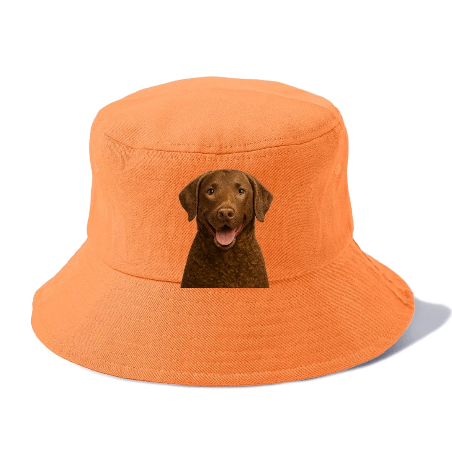 chesapeake bay retriever: rugged waterdog spirit Hat