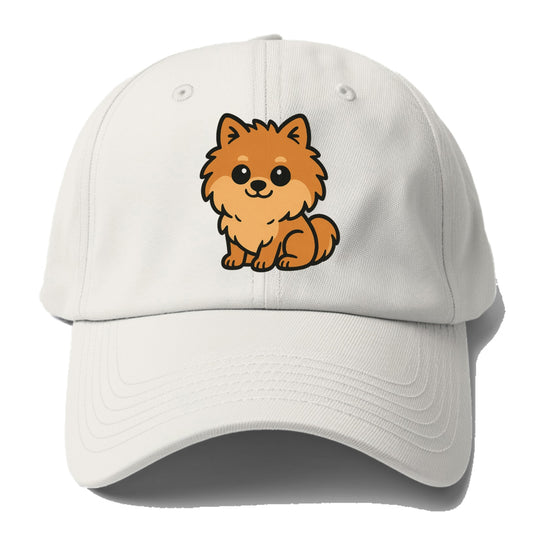 pomeranian orange fluffy sitting pose portrait design Hat