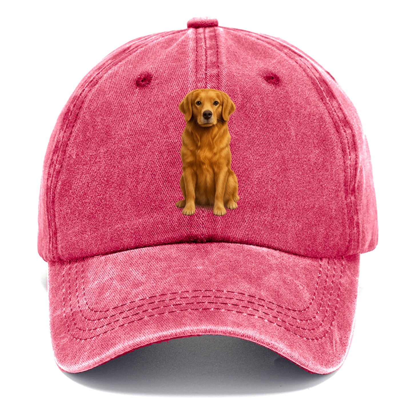 golden retriever portrait on brown background Hat