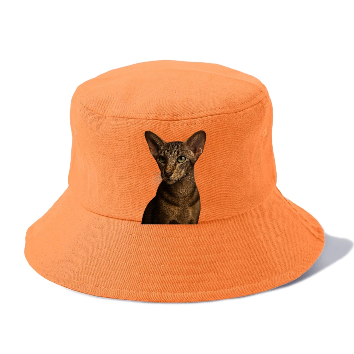 oriental-shorthair-sleek-charm Hat