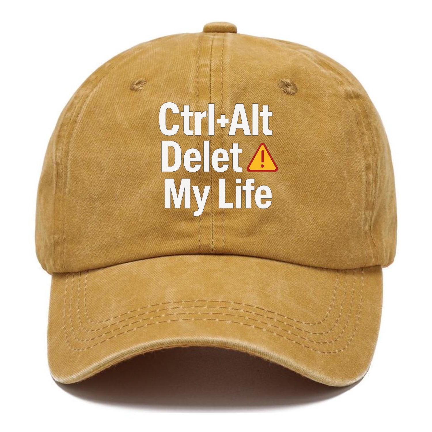 ctrl alt delete life Hat