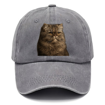 persian-regal-majesty Hat