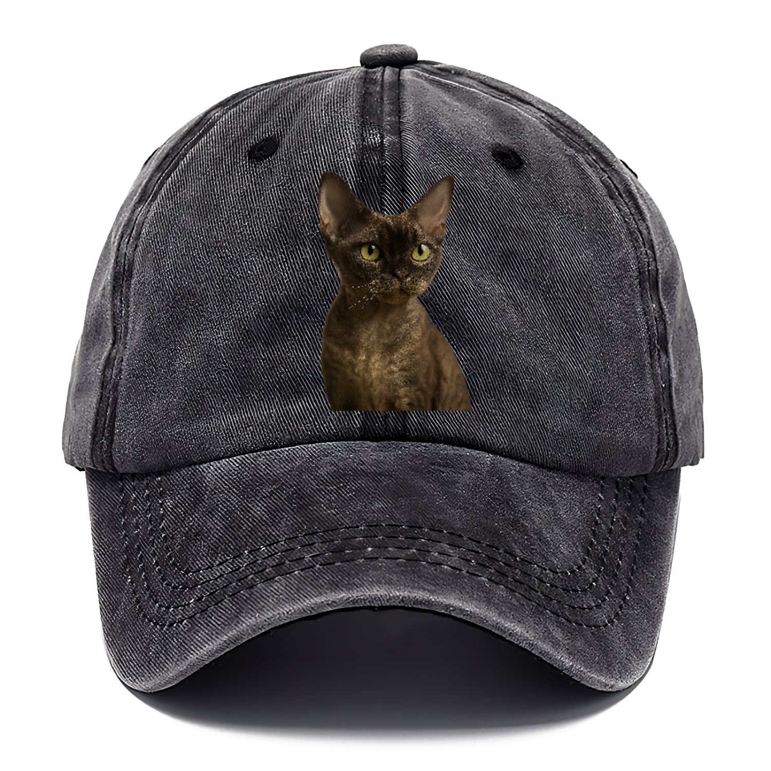 devon-rex-the-unique-charm Hat