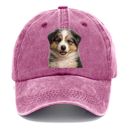 australian shepherd puppy portrait design Hat