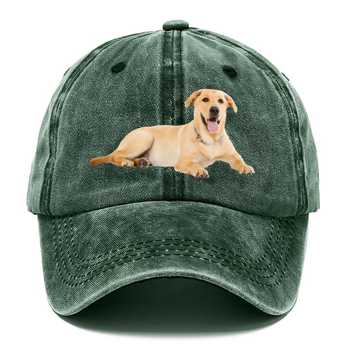 Labrador Laying Down Classic Cap
