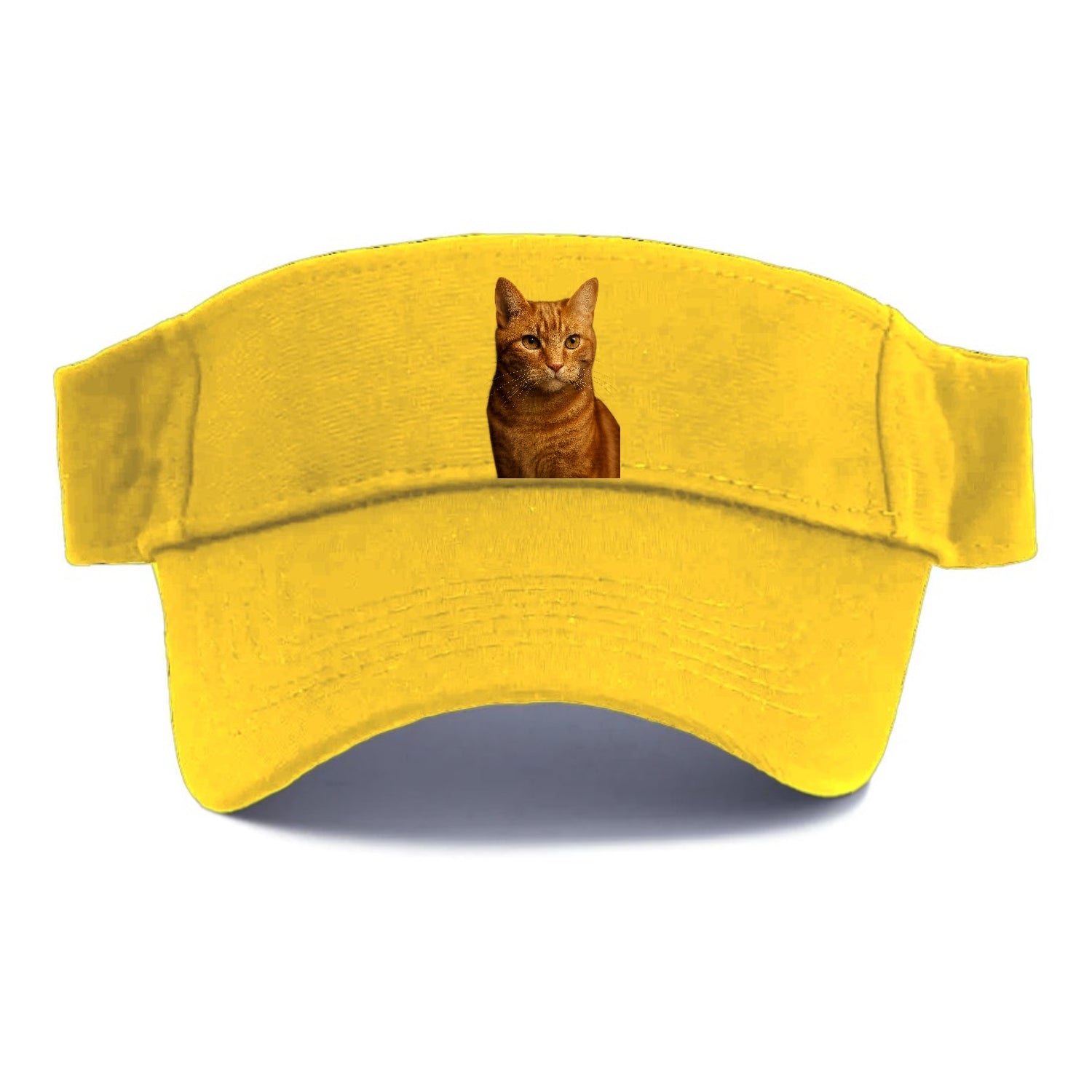 orange-tabby-playful-purr Hat