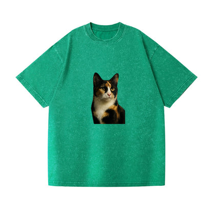 calico-mix-vibrant-spirit Hat