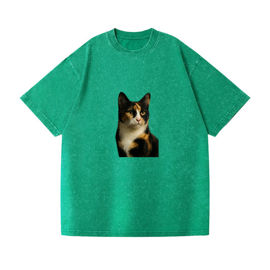 calico-mix-vibrant-spirit Hat