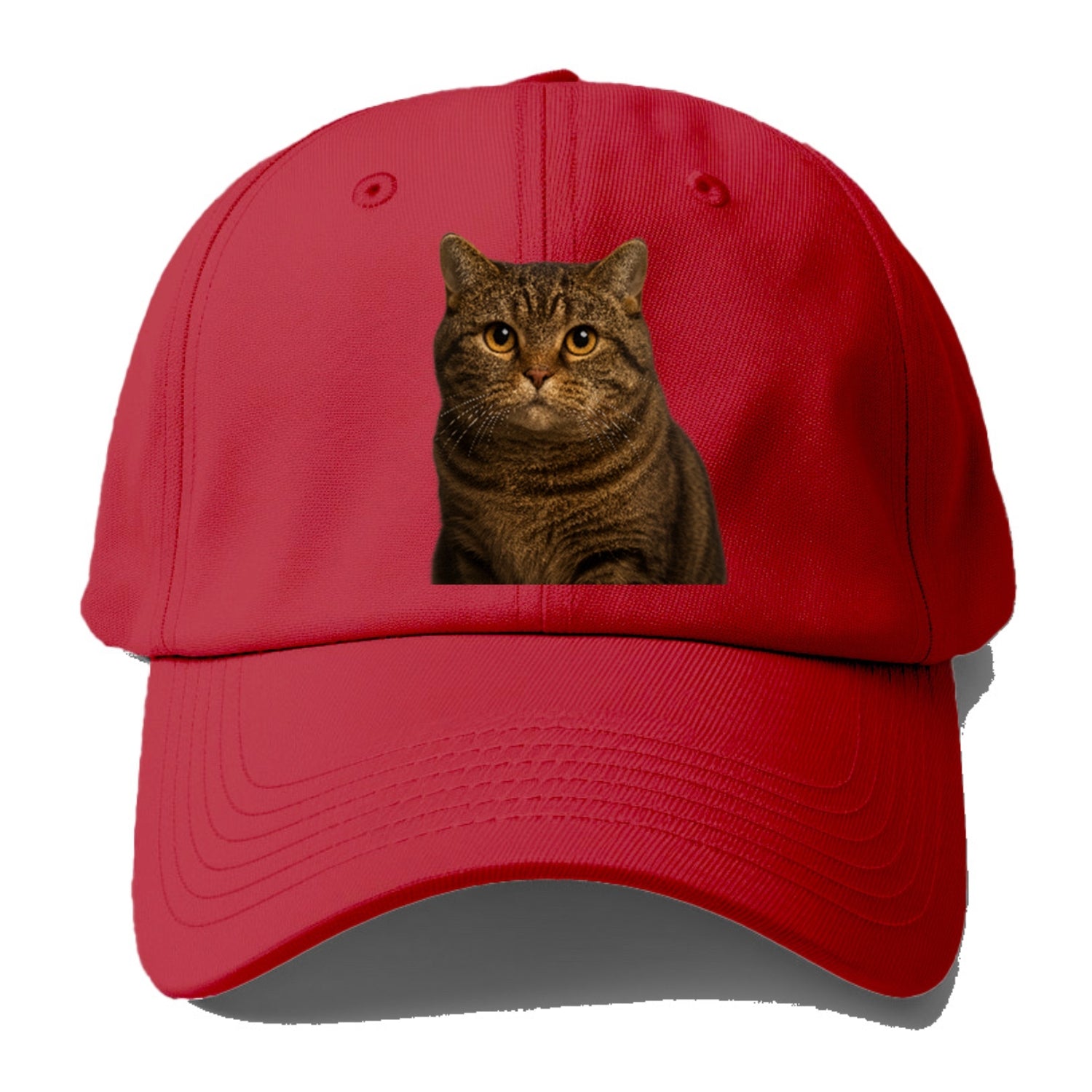 manx-cat-distinct-charm Hat