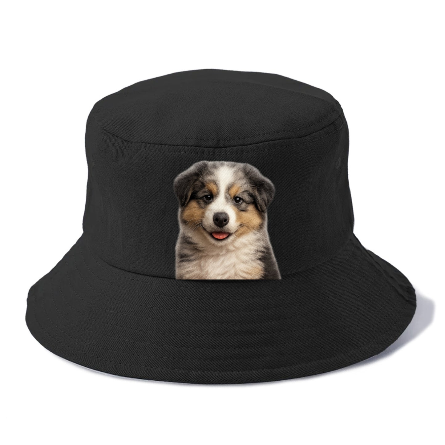 australian shepherd puppy portrait design Hat