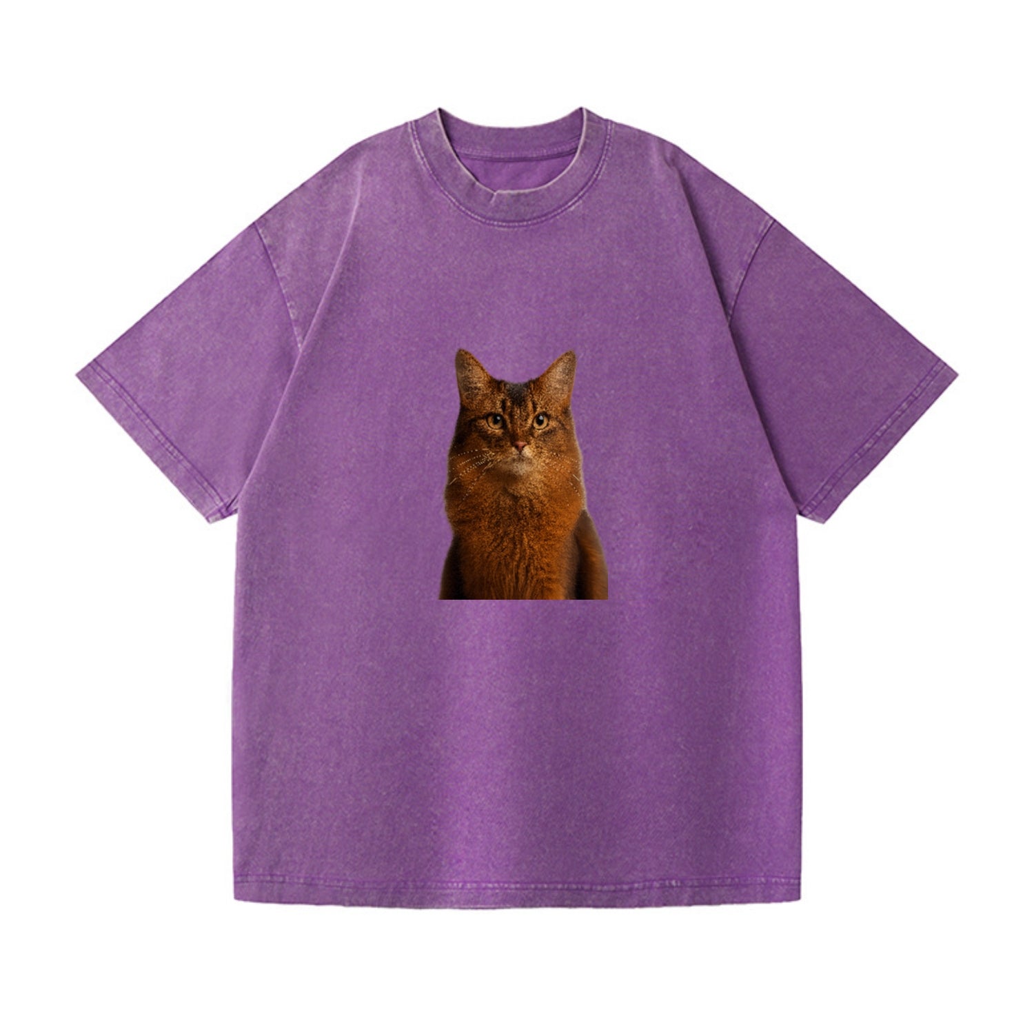 somali-cat-agile-grace Hat