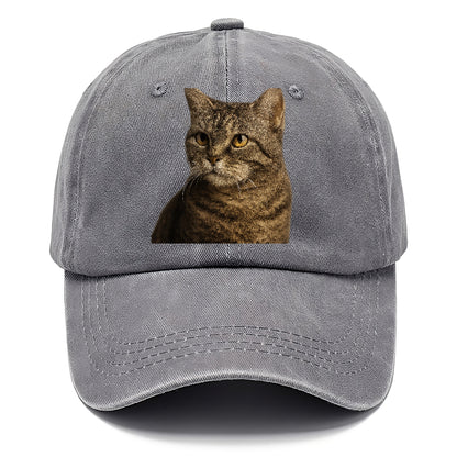 american-wirehair-unique-texture Hat