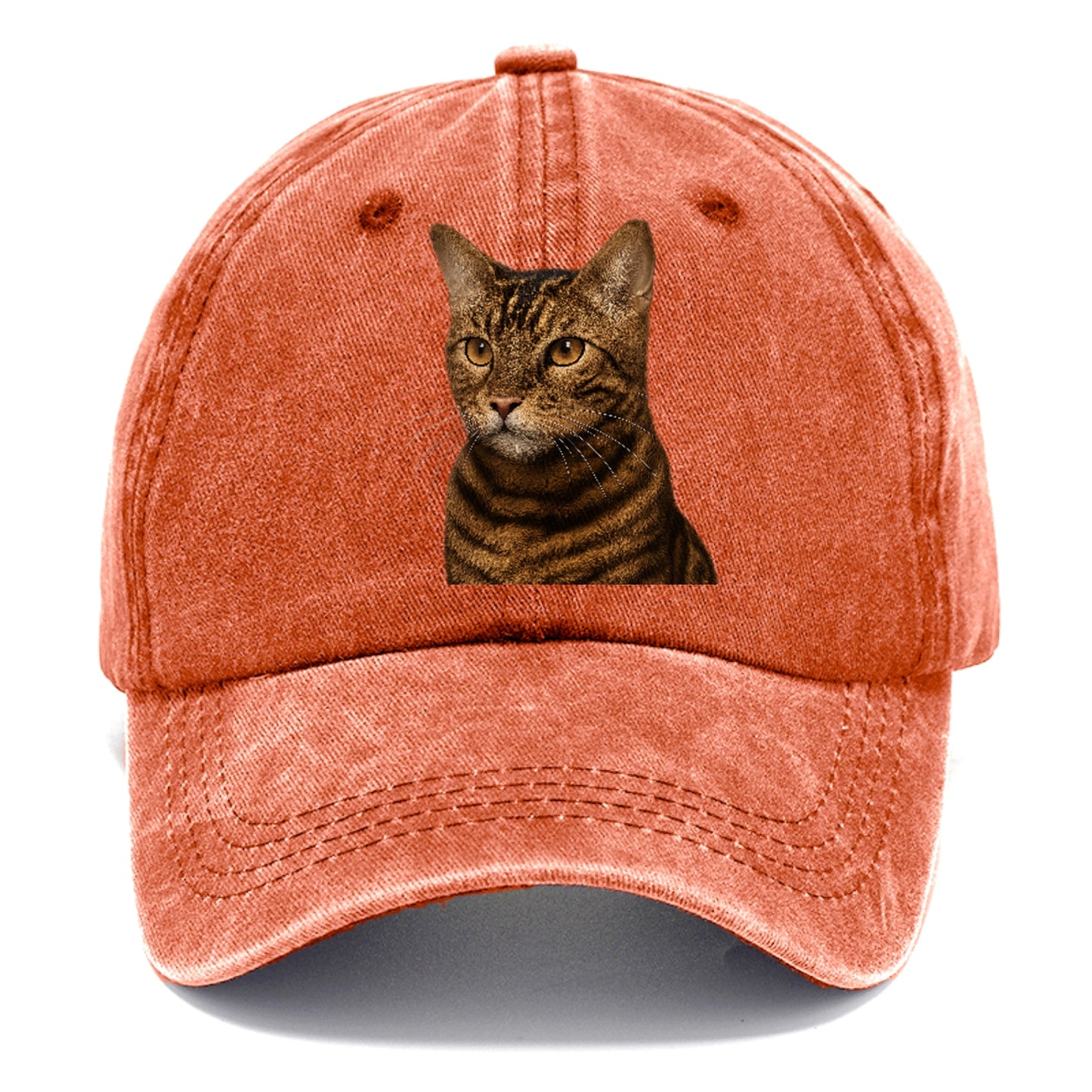 toyger-exotic-allure Hat