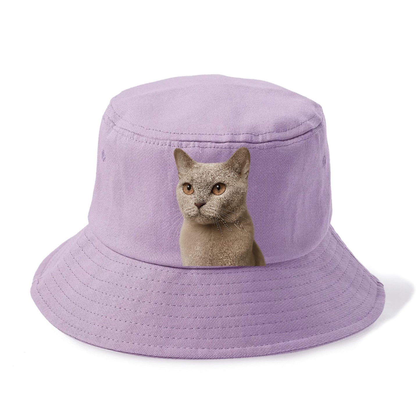 lilac-cat-playful-spirit Hat