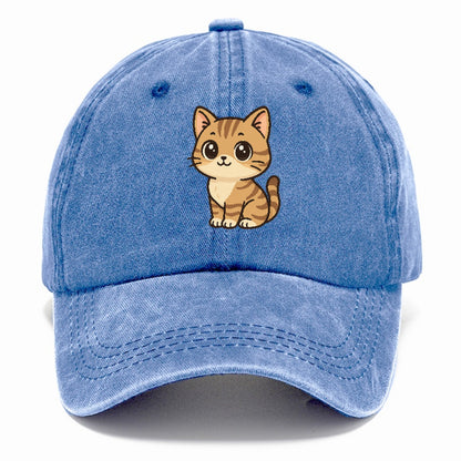 domestic-shorthair-cozy-comfort Hat