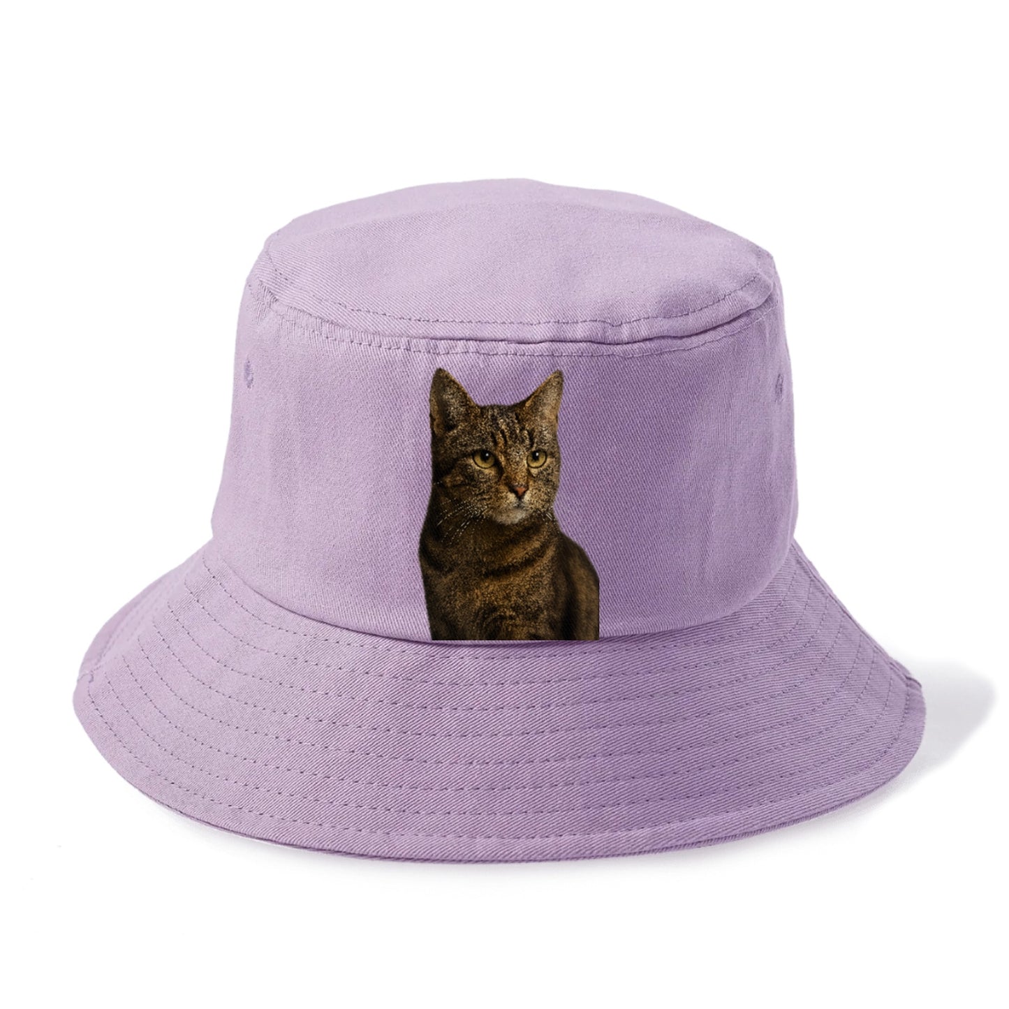 barn-cat-rustic-charm Hat
