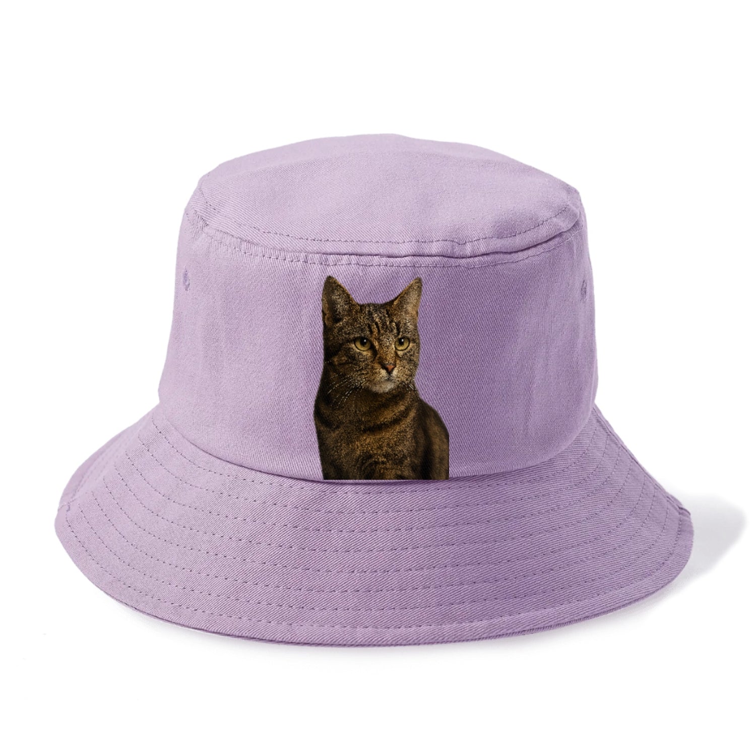 barn-cat-rustic-charm Hat