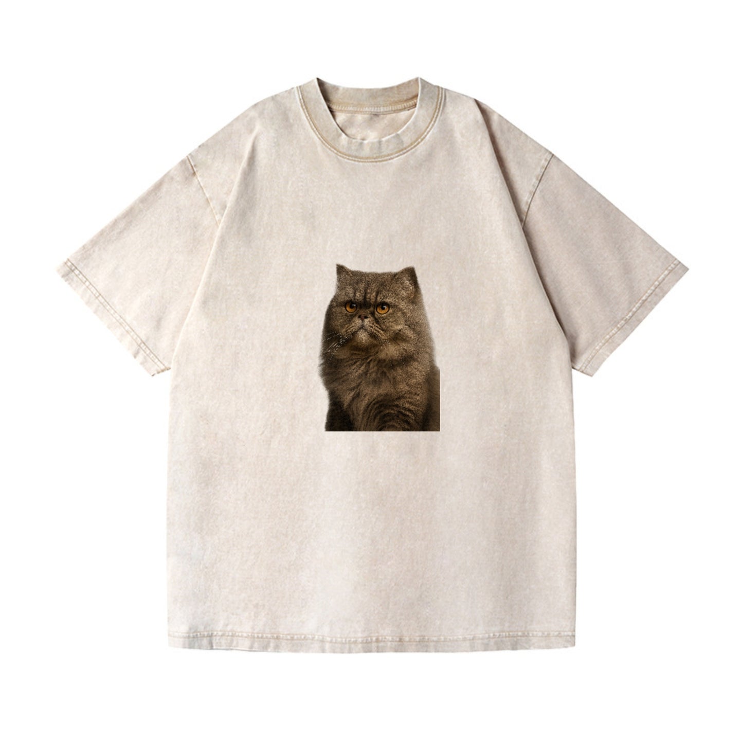 persian-cat-regal-elegance Hat