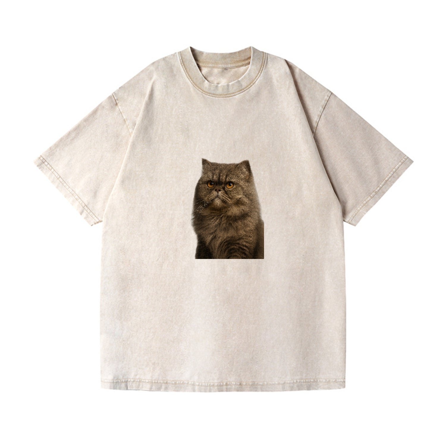 persian-cat-regal-elegance Hat