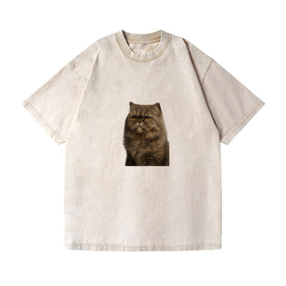 persian-cat-regal-elegance Hat