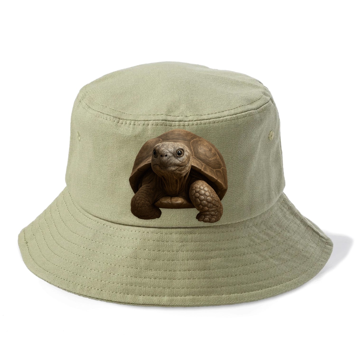 tortoise portrait design Hat