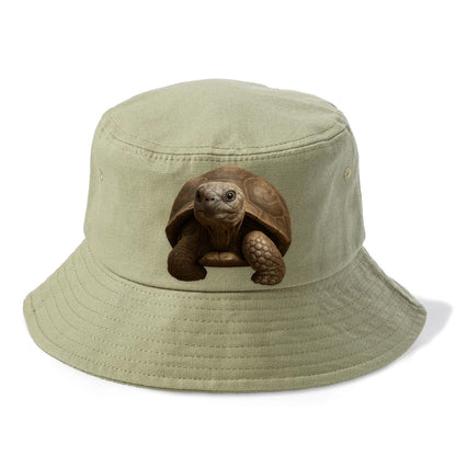 tortoise portrait design Hat