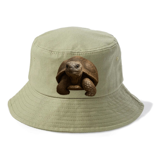 tortoise portrait design Hat