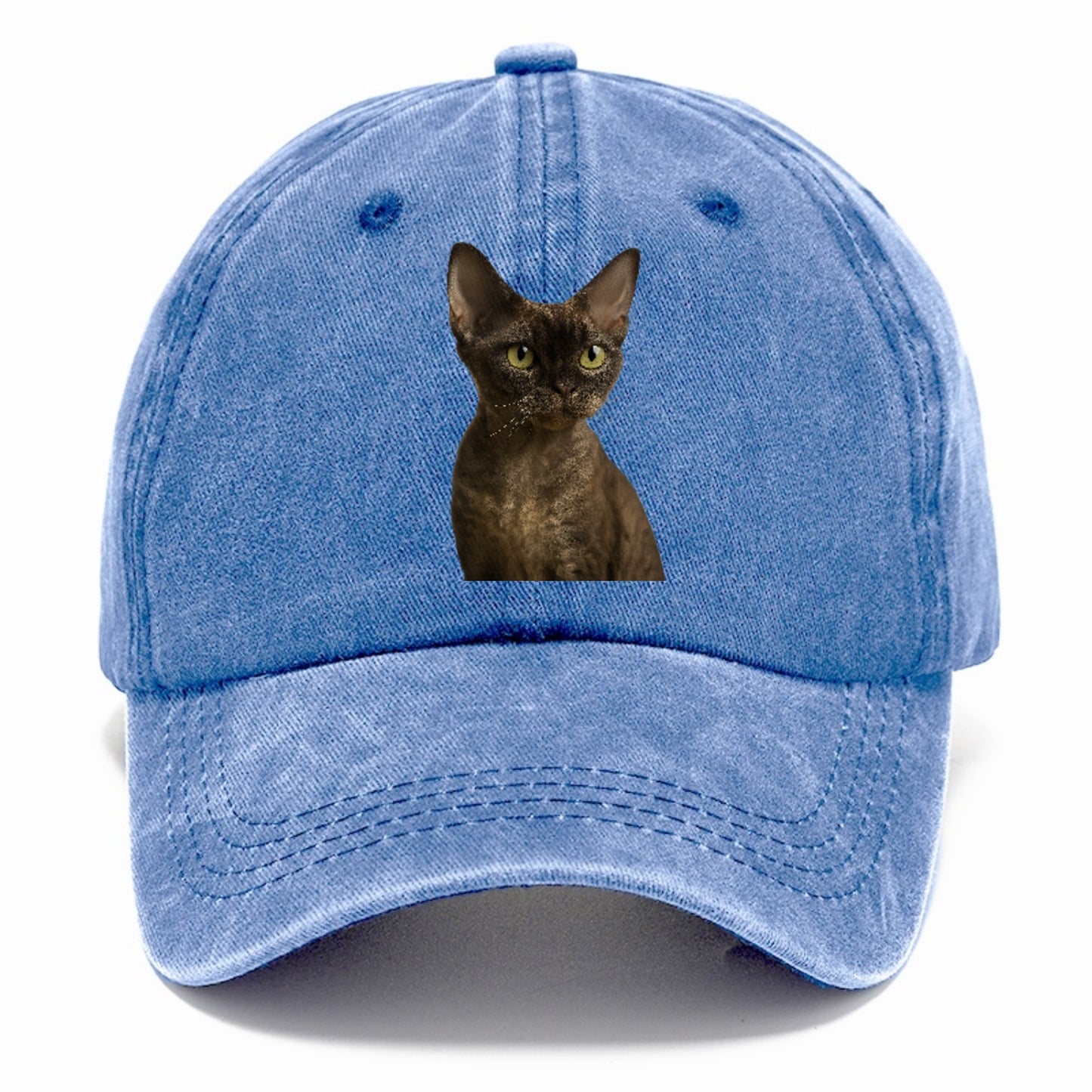 devon-rex-the-unique-charm Hat