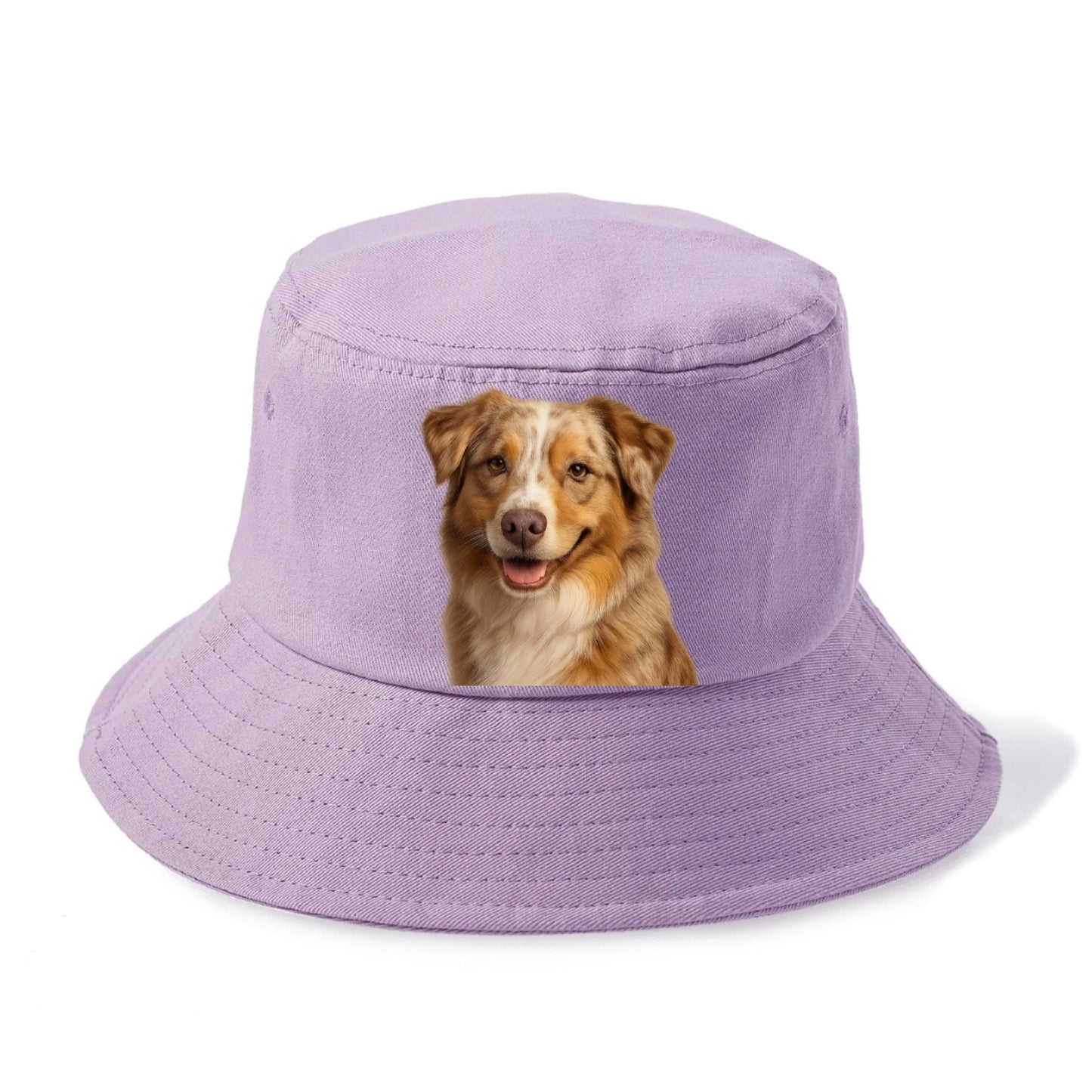 red merle australian shepherd portrait design Hat