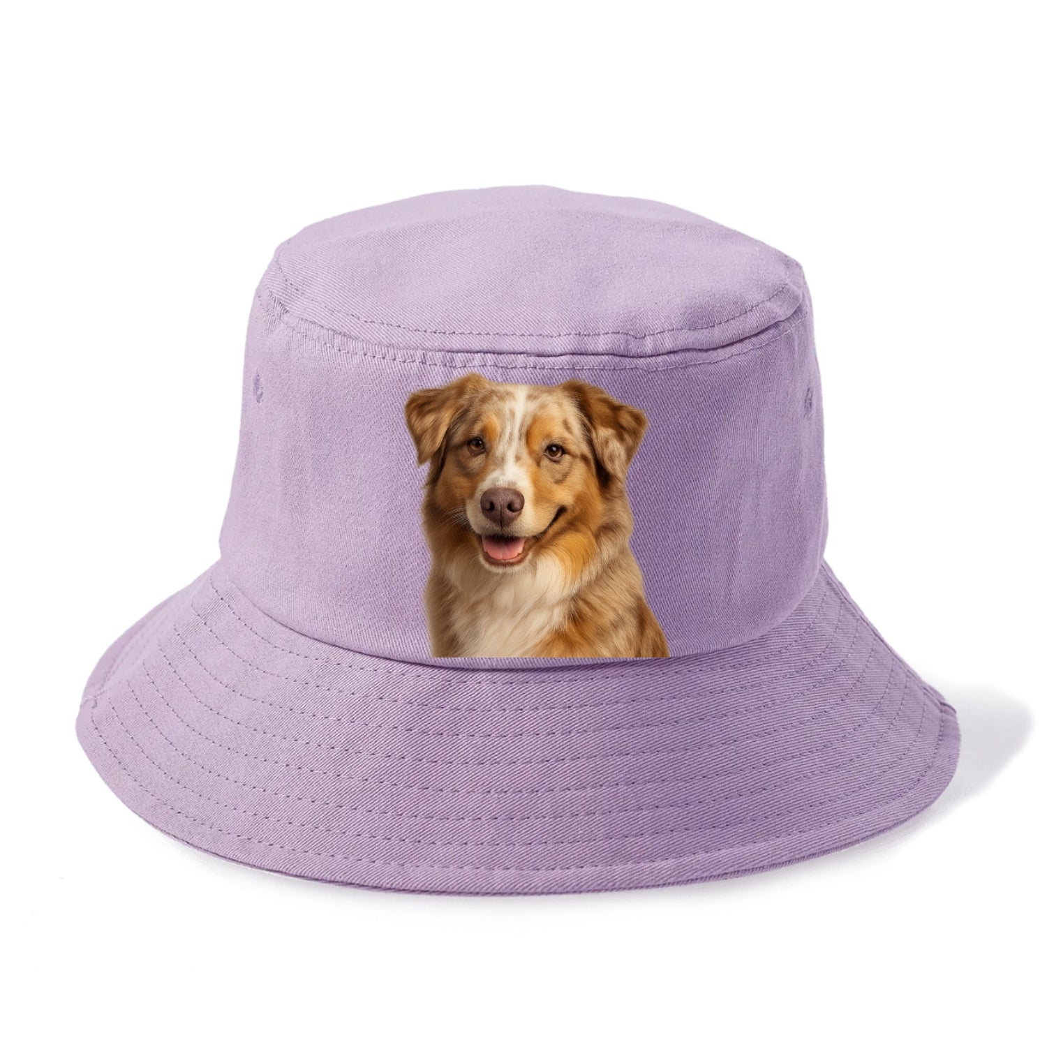 red merle australian shepherd portrait design Hat