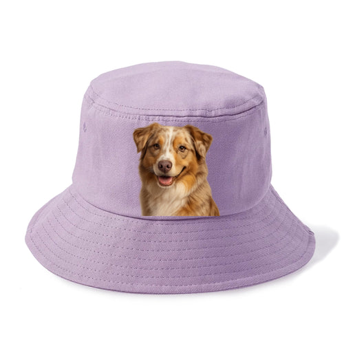 Red Merle Australian Shepherd Portrait Design Bucket Hat